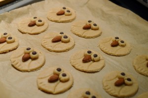 Eulen-Cookies mit Hafer & Orange